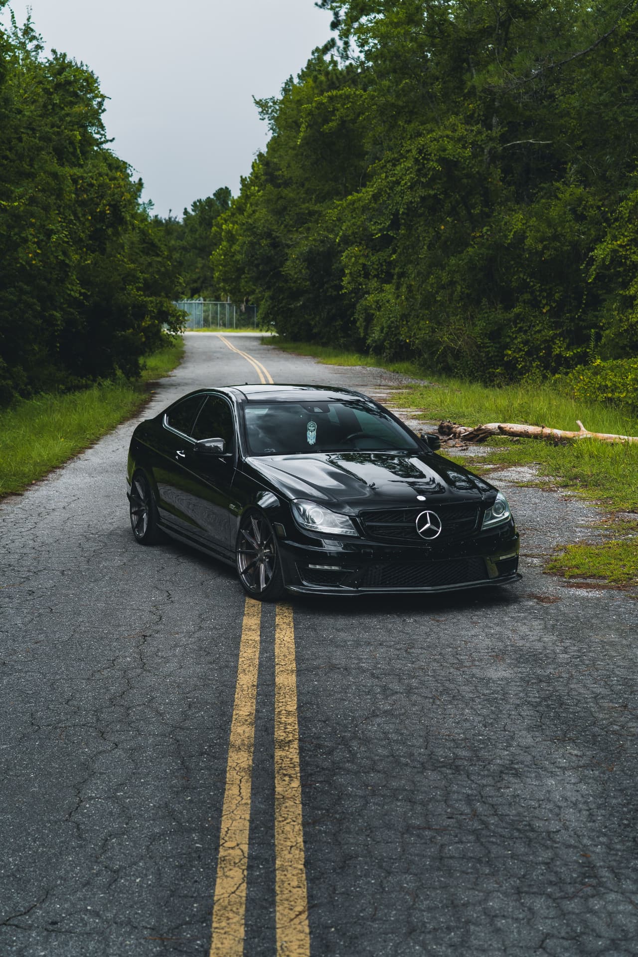 Gloss black Mercedes on a tree-lined road